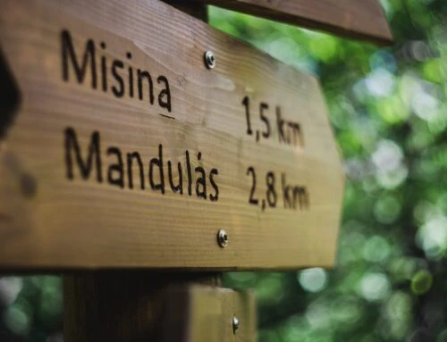 What You Should Know about Wood Staining and Laser Engraving