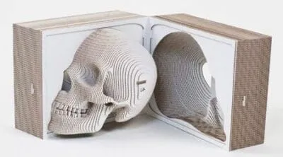 Laser Engraver for Cardboard